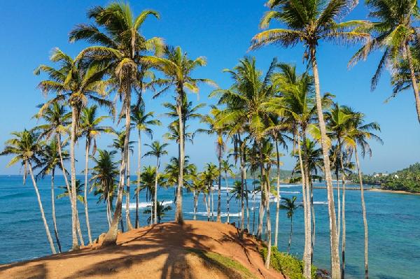 Coconut Tree Hill: Een paradijs met een wachtrij | Coconut Tree Hill, Sri Lanka